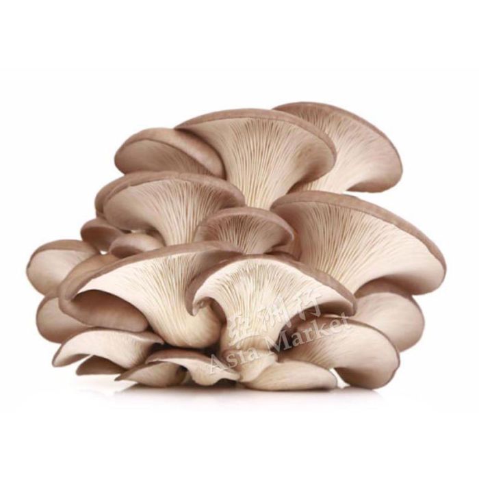 FRESH Oyster Mushroom 200g