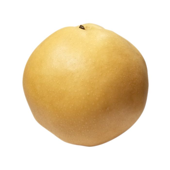 FRESH Korean Pear 1 pc