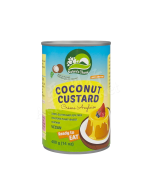 NATURE'S CHARM -Coconut Custard 400g