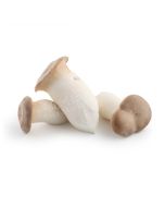 FRESH King Oyster Mushrooms 1 Pack (3 pieces)