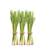 Fresh Lemongrass