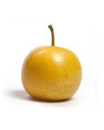 Fresh Golden Nashi Pear 1pc