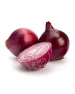 FRESH Red Onion