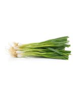 FRESH Spring Onions/Scallion