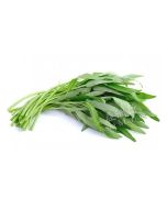 FRESH Tong Choi (Morning Glory/Water Spinach) 1pkt