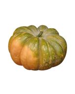 [FRESH] Winter Squash (Pumpkin) 1Kg (Approximate Weight) 