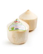  FRESH Young Coconut 新鲜椰子1pc