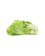 FRESH Kai Choi (CASE) 1X6KG (wholesale only) 