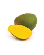 FRESH Kent Mango Ripe 1pc