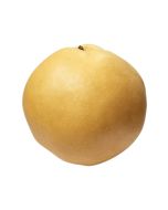 FRESH Korean Pear 1 pc