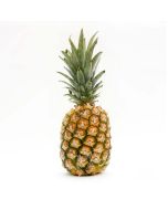 FRESH Mini Pineapple 1pc