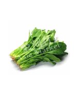 FRESH Spinach 1X3KG (wholesale only)