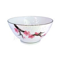 7 Inch Painted Porcelain Ceramic Bowl (Plum Flower)