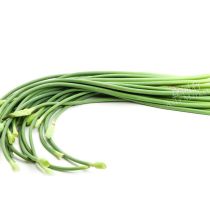 FRESH Garlic Shoots (Scapes) 1X10KG (wholesale only) 