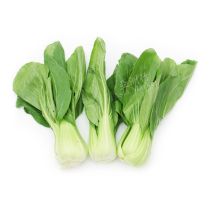 FRESH Green Pak Choi 800g (Approximate Weight) 