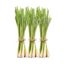 Fresh Lemongrass