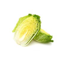 FRESH Napa Cabbage (Chinese Leaf) 绍菜，大白菜，津白，黄芽白