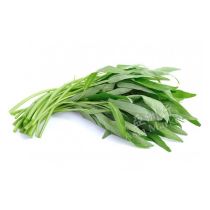 Fresh Tong Choi (Morning Glory/Water Spinach) 1 pkt