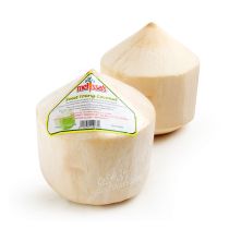  FRESH Young Coconut 新鲜椰子1pc