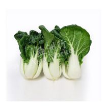 Fresh Pak Choi 1kg