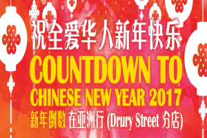 Countdown to Chinese New Year 2017