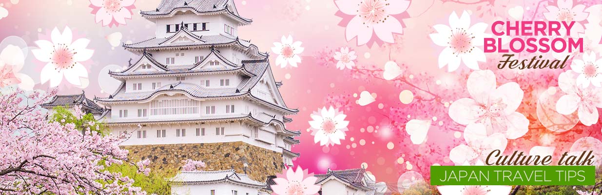 Cherry Blossom Festival Culture Talk - Japan Travel Tips