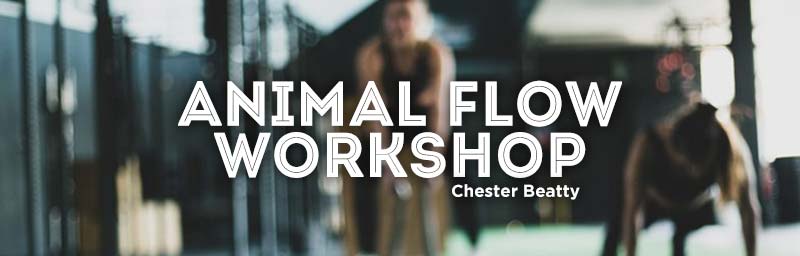 Animal Flow Workshop 2020