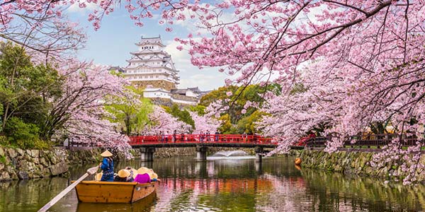 Japanese Landscape