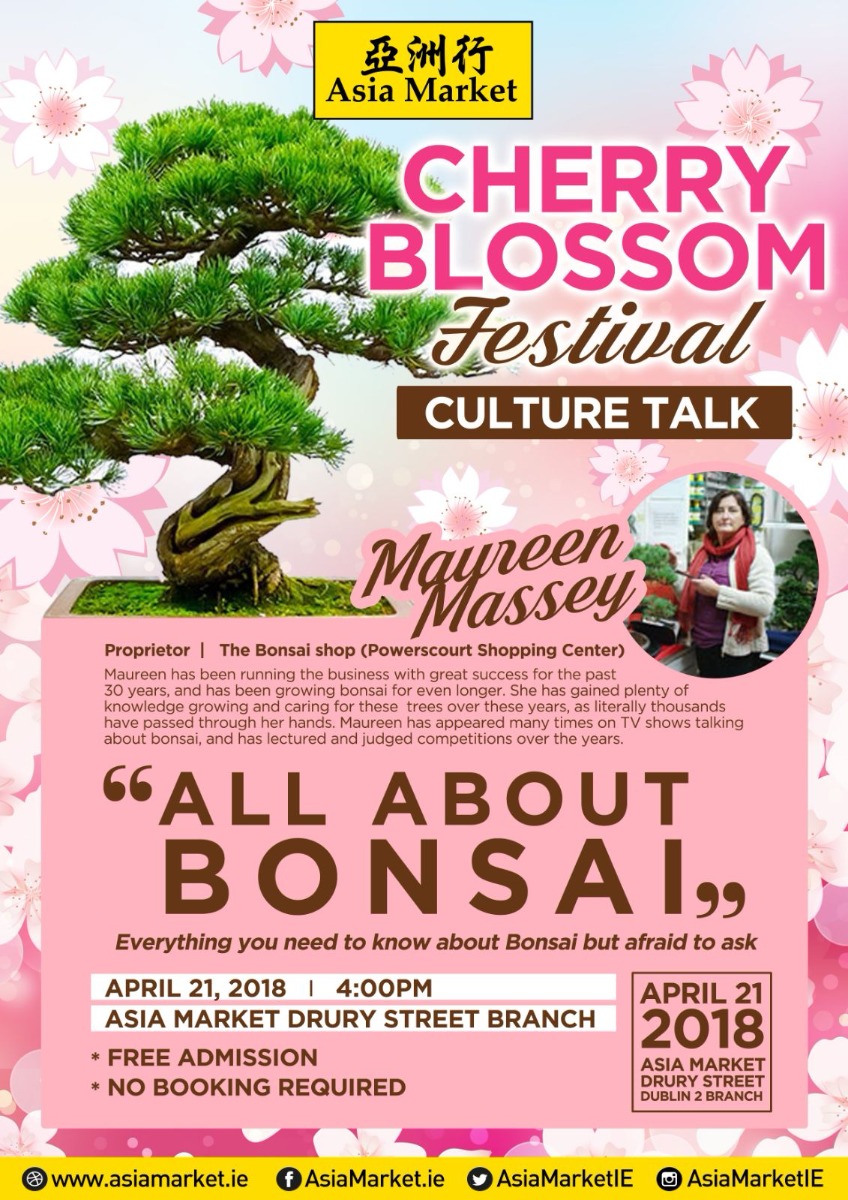 Bonsai Trees - Culture talk