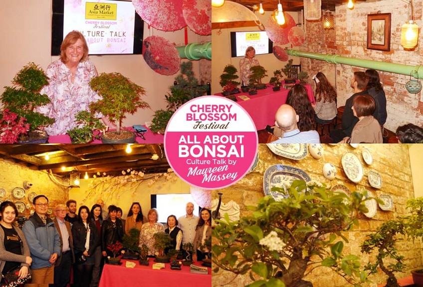 2018-CultureTalk-bonsai